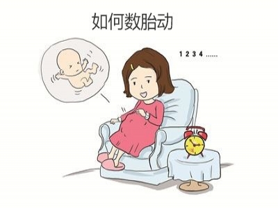 胎兒好不好，胎動全知道，數(shù)胎動的重要性